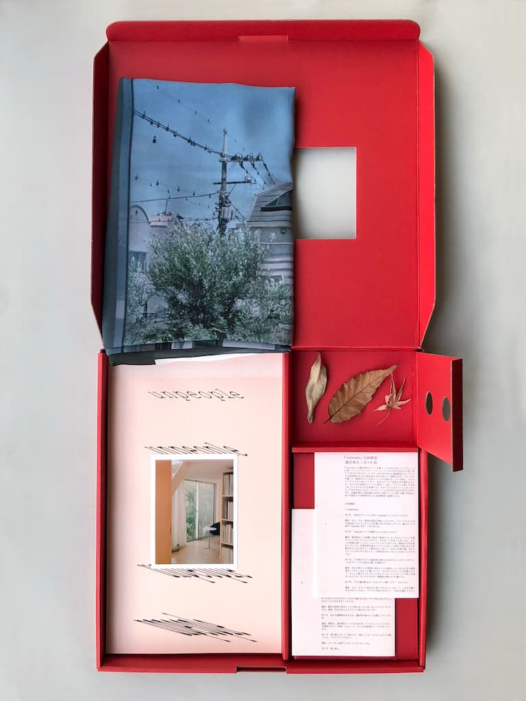 特別盤unpeople LPボックス