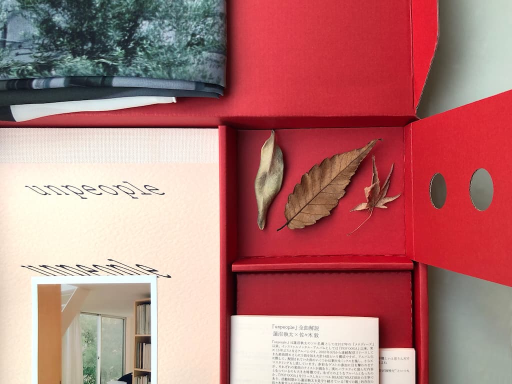 特別盤unpeople LPボックス