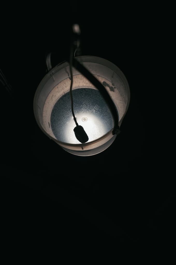 Shuta Hasunuma “unpeople 360° + 1 people #11”