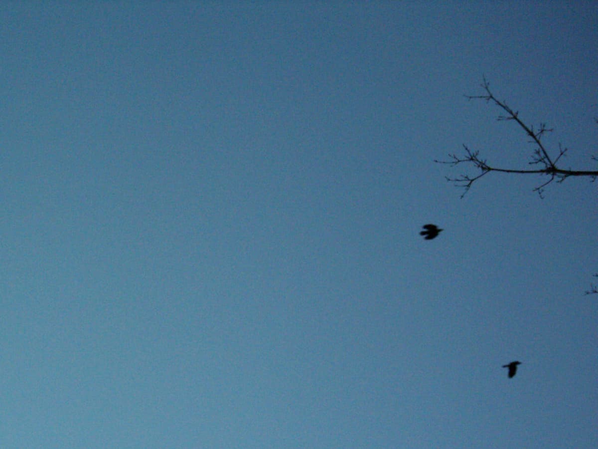 unpeople + 1 people #4